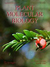 植物分子生物學(xué)