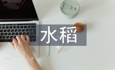 水稻種植規(guī)劃