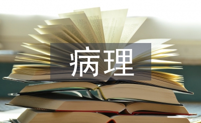 病理醫(yī)生發(fā)展工作計(jì)劃