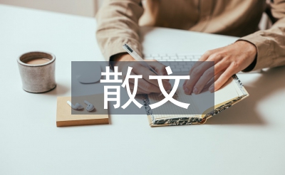 賈平凹的散文