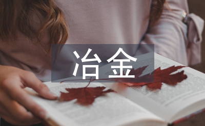 冶金經(jīng)濟(jì)與管理