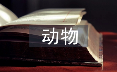 流浪動(dòng)物危害