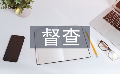 督查匯報(bào)材料