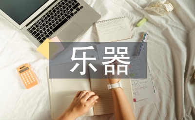 樂器畢業(yè)總結(jié)