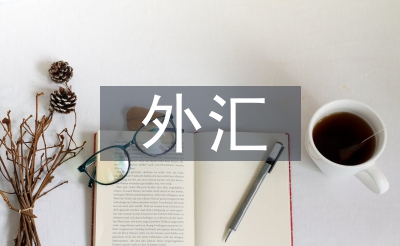 外匯投資論文