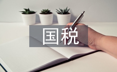國稅實訓總結