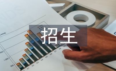 招生自查工作總結(jié)