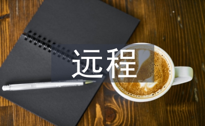 遠(yuǎn)程審計(jì)的思考