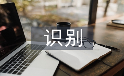 識別技術(shù)論文