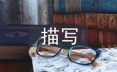 描寫教育論文