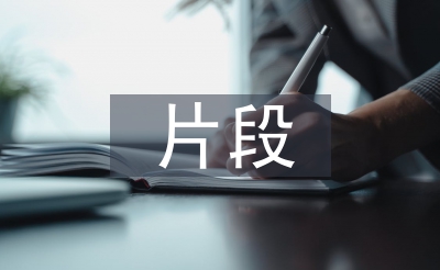 初中歷史片段教學(xué)