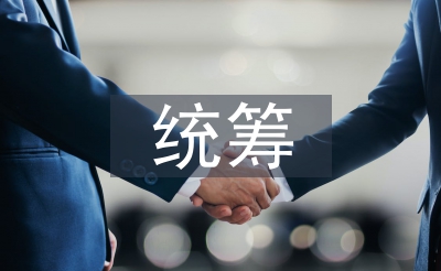 統(tǒng)籌管理論文