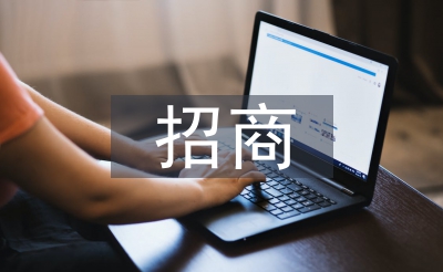 招商工作意見(jiàn)
