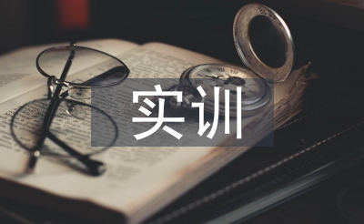 國際貿(mào)易實訓總結(jié)