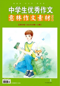 中學生優(yōu)秀作文雜志