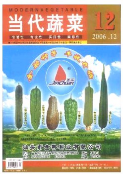 網(wǎng)球俱樂(lè)部雜志