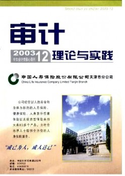 審計理論與實(shí)踐雜志