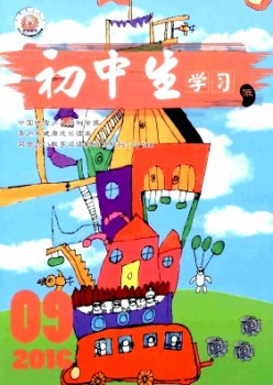 初中生學(xué)習(xí)(低)雜志